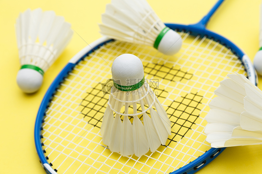 體隊員配置 體隊員配置